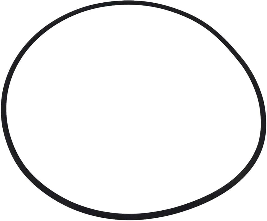 Astral ZX Filter Lid Oring [78110]